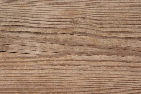 Old log close-up. Wooden background — Stock Photo, Image
