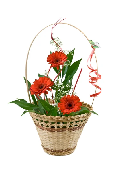 Krásné květiny na dárek — Stock fotografie