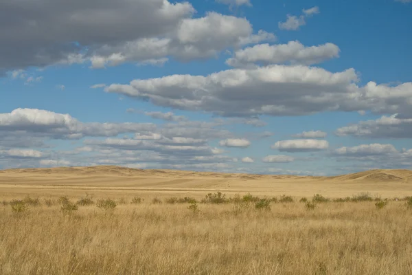 Yellow steppe and perfect sky — Stock Photo, Image