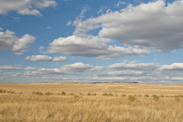 Yellow steppe and sunny sky — Stock Photo, Image
