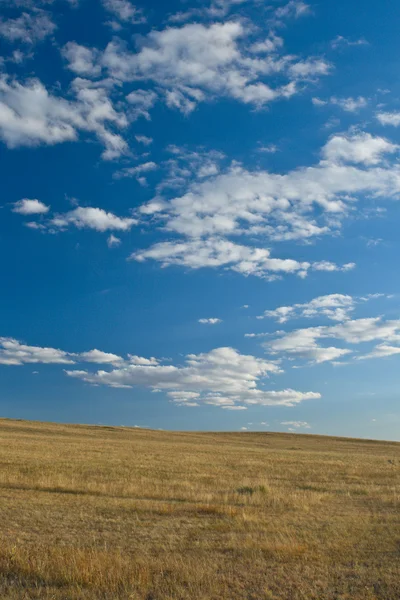 Yellow steppe and perfect sky — Stock Photo, Image
