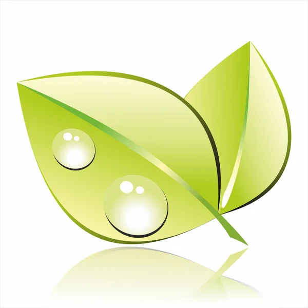 Groen blad met waterdruppel — Stockvector