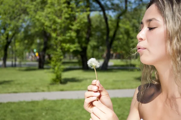 Young girl blowing on the dandelion — Stock Photo, Image