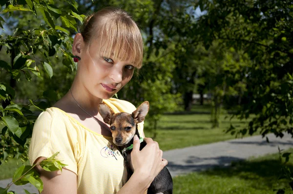 stock image Portrait of the girl and small dog