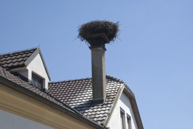 Stork's nest burgenland