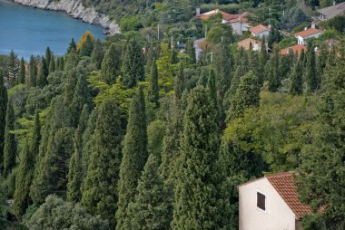 Duino içinde İtalya göster