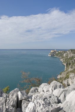 Coast of italy near triest clipart