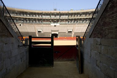 Valencia - bull arena dövüş