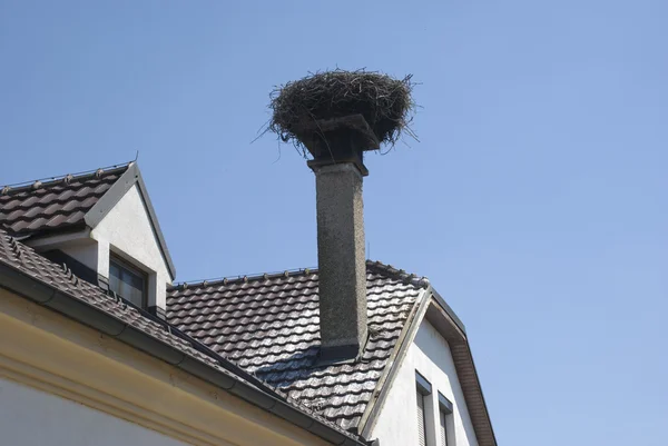 Аистово гнездо в Бургенланде — стоковое фото