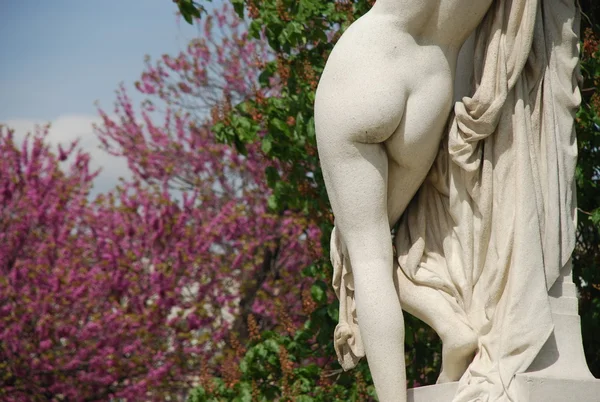 Kadın heykeli geri — Stok fotoğraf