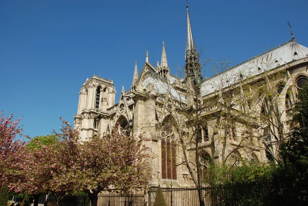 Katedrály Notre dame, Paříž — Stock fotografie