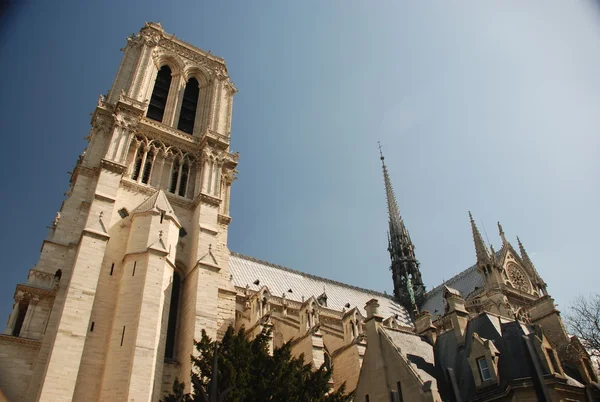 Katedry Notre dame, Paryż — Zdjęcie stockowe