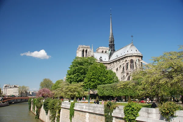 Katedry Notre dame, Paryż — Zdjęcie stockowe