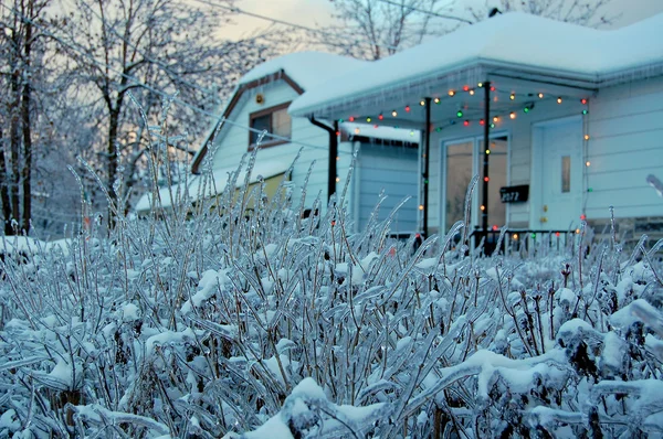 stock image Winter