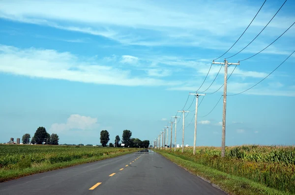 Stock image Power lines along a secondary road, corn crops