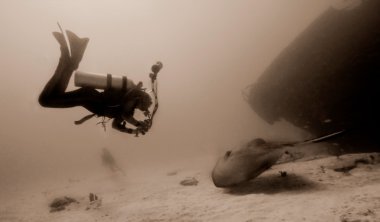 Diver and Giant Stingray clipart