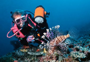 Female diver and lionfish clipart