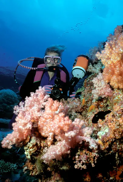 Diver e coralli morbidi — Foto Stock