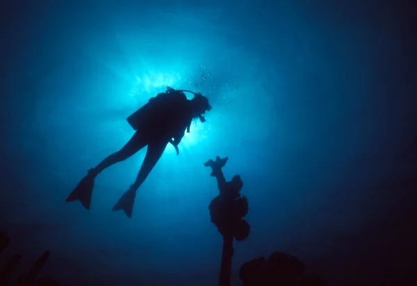 Silhouette subacquea — Foto Stock