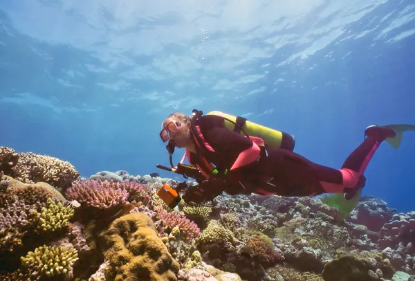 Mujer buceadora en arrecife poco profundo —  Fotos de Stock