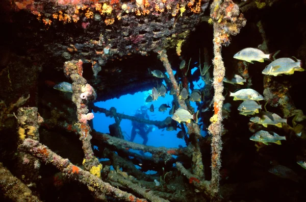 Wreck of the Rhone — Stock Photo, Image