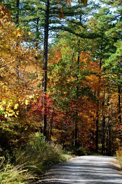 stock image Autumn backroad