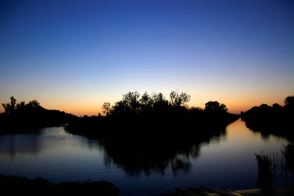 Swamp Sunset Stockbild