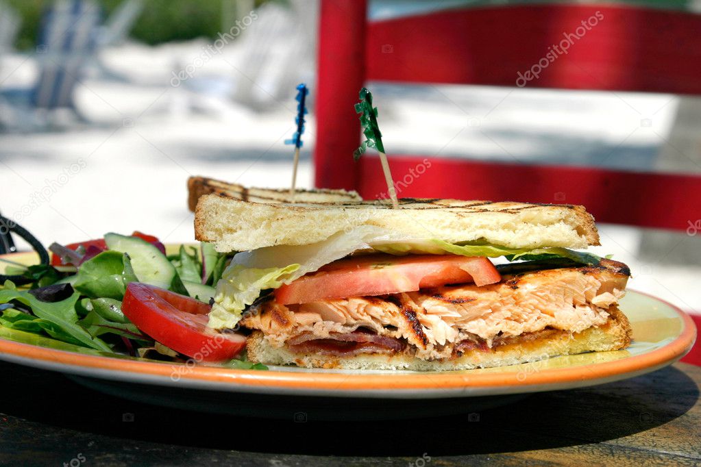 fish sandwich |图库照片08dennis sabo#5940420