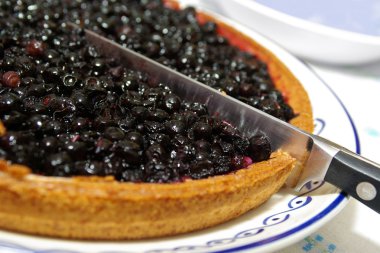 Blueberry pie clipart