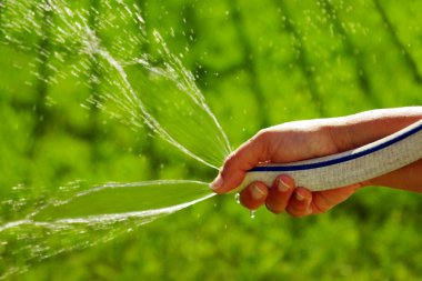 Watering the grass clipart