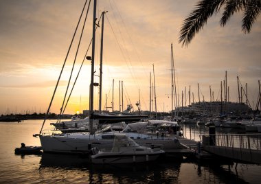 Yachts at sunset clipart