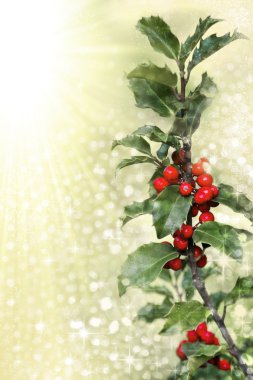 Holly branch clipart