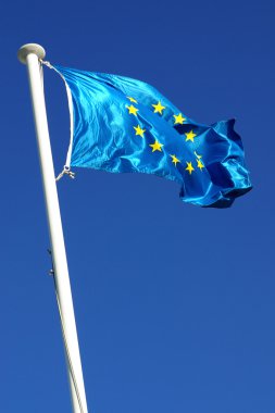 EU Flag clipart