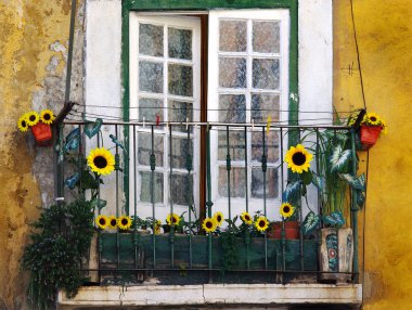 Sunflower balcony clipart