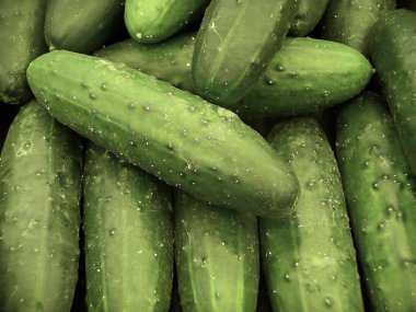 Cucumbers clipart