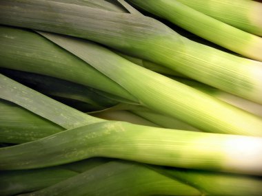 Leeks clipart