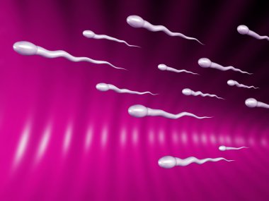 Sperms clipart