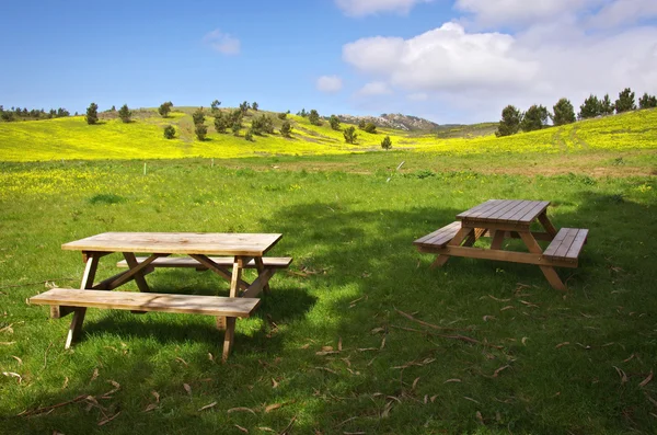 Picnic tables — Stock Photo, Image