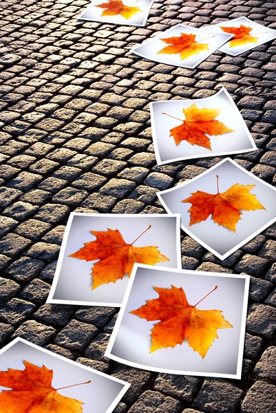 Bukott őszi nyomtat — Stock Fotó