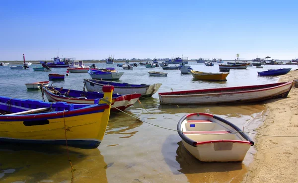 Traditional Boats — Stock Photo, Image