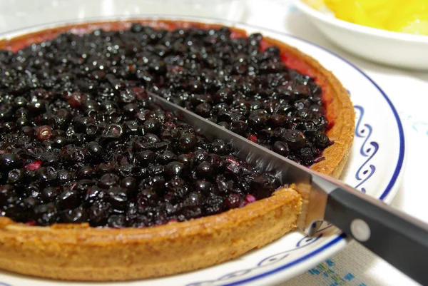 stock image Blueberry Pie