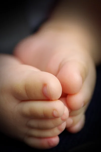 stock image Baby feet