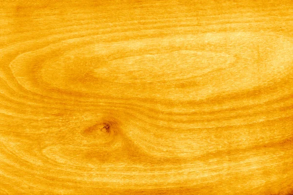 소나무 — 스톡 사진