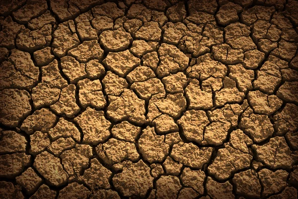 Terreno seco — Foto de Stock