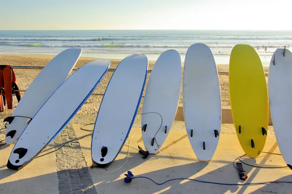 Zeven surfplanken — Stockfoto