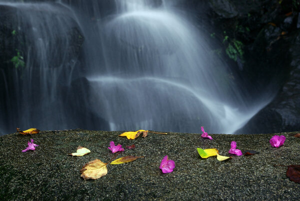 Idyllic Waterfall