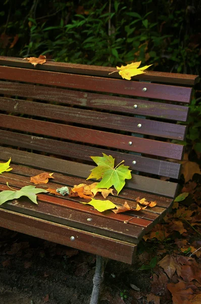 Leafs in Bench — Stock Photo, Image