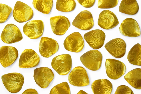 Arany levelek — Stock Fotó