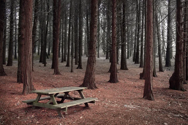 Ліс таблиці — стокове фото