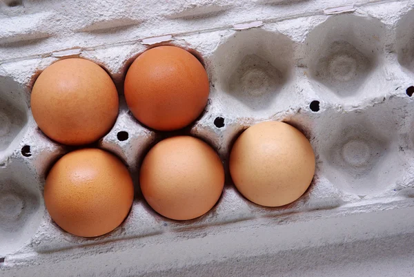 stock image Five Eggs